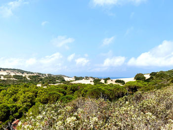 Scenic view of piscinas dunes. arbus, sardinia