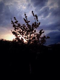 Silhouette of trees against sky at sunset