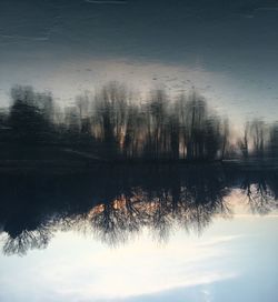 Close-up of wet tree against sky