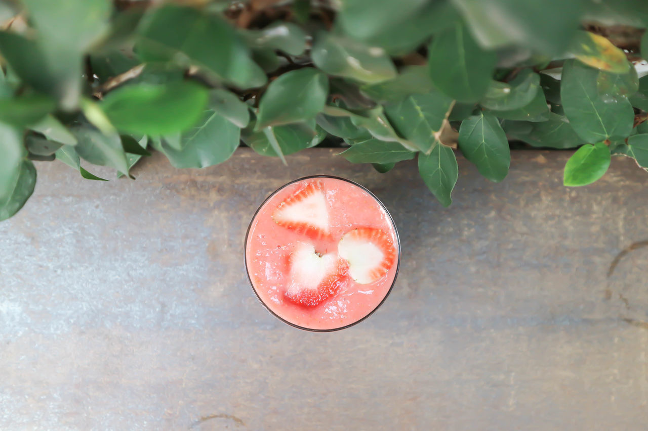 HIGH ANGLE VIEW OF RED FRUIT ON PLANT