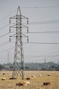 Electricity pylon on a field