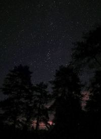 Low angle view of trees against sky at night