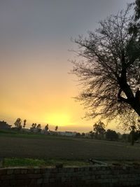 Silhouette trees on field against sky during sunset