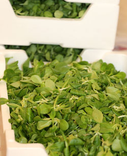 Close-up of chopped vegetables and leaves