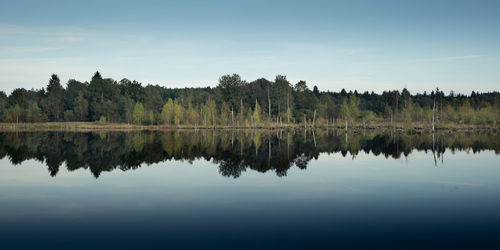 Reflection of trees in lake against sky