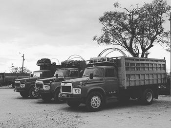 Cars parked on road