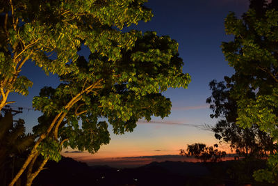 Low angle view of silhouette trees against sky at sunset