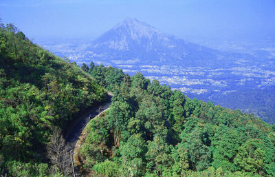 High angle view of trees and mountains against sky