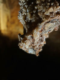 Close-up of ice cream over black background