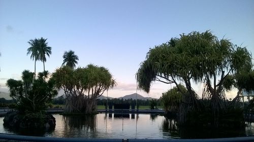 Palm trees by lake against clear sky