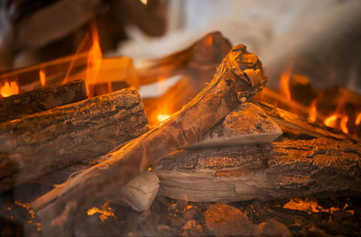 Burning firewood in fire-box of fireplace