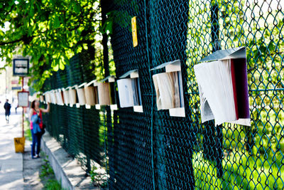 Plants hanging by fence against building