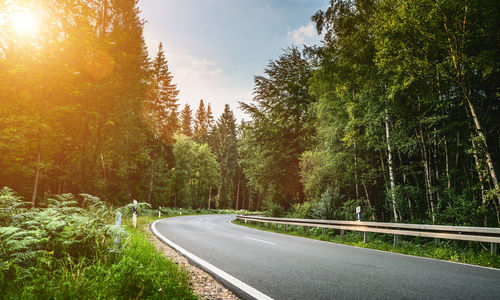 Road amidst trees in forest against sky