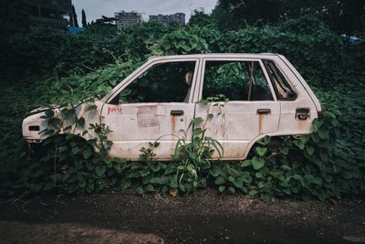 Abandoned car on land
