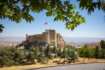 View of trees and buildings against clear sky