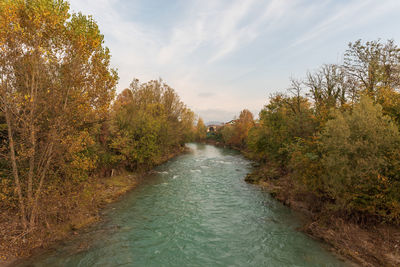 Scenic view of river amidst trees in forest against sky