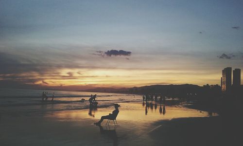 Scenic view of sea at sunset