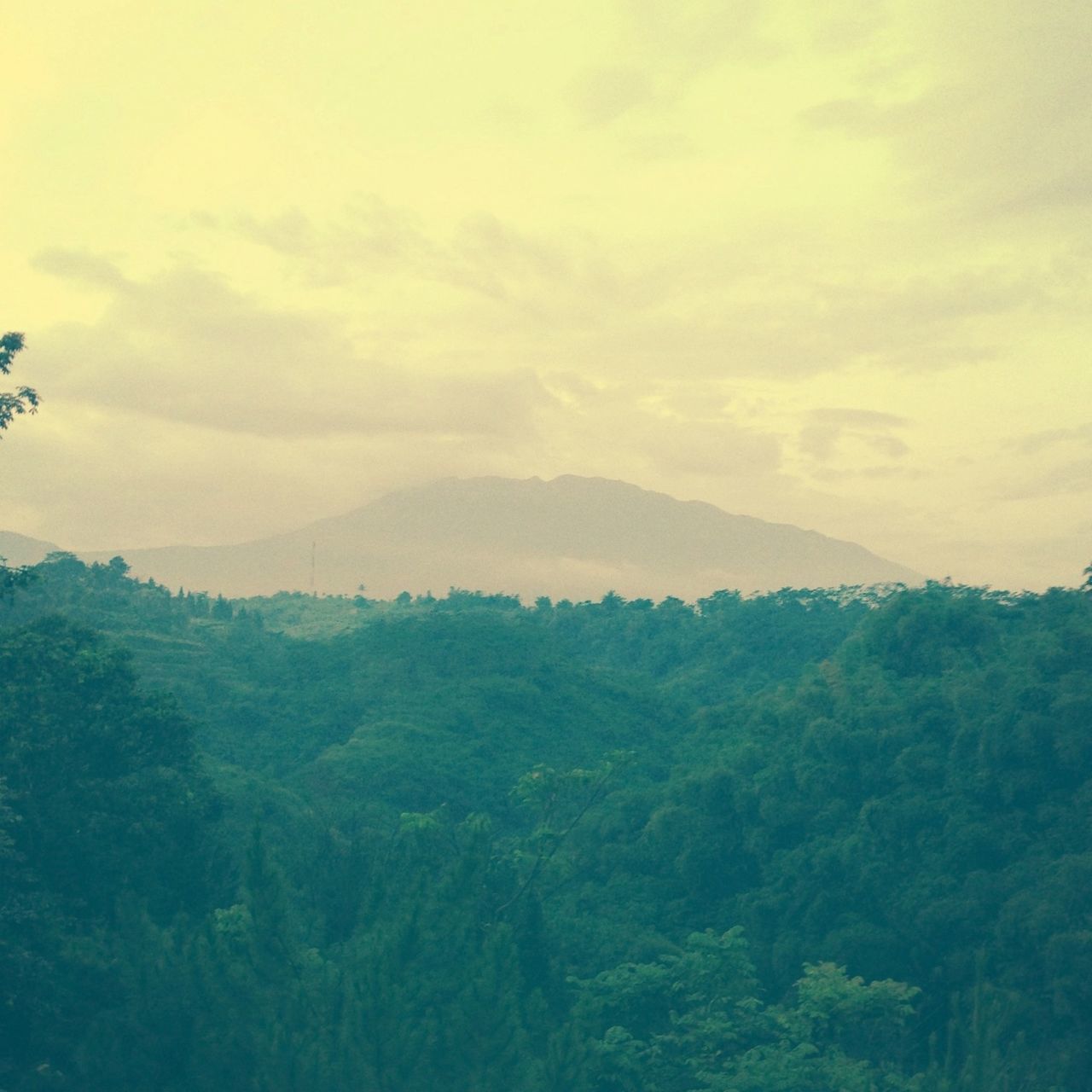 tranquil scene, tranquility, scenics, sky, mountain, beauty in nature, landscape, cloud - sky, nature, tree, idyllic, cloudy, non-urban scene, cloud, mountain range, outdoors, remote, growth, no people, hill