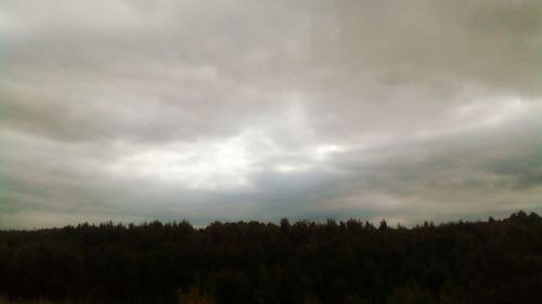 Scenic view of forest against cloudy sky