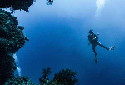 Scuba diver exploring coral at the great barrier reef