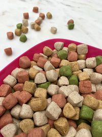 Close-up of dog food in container on flooring