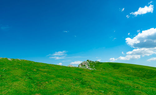 Landscape of green grass and rock hill in spring with beautiful blue sky and white clouds. 