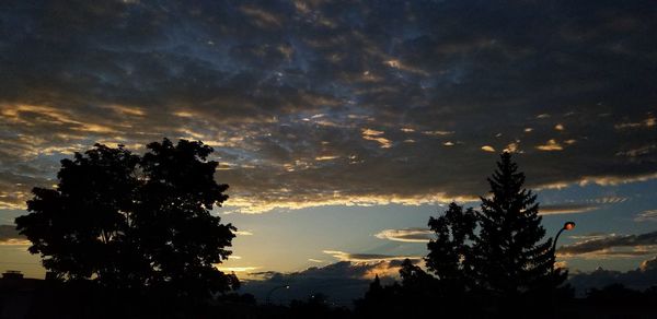 Low angle view of silhouette tree against sky during sunset