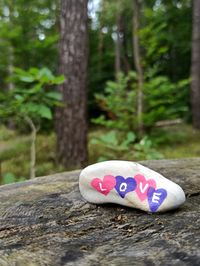 Close-up of representation on tree trunk