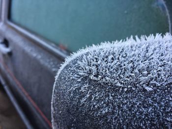 Close-up of snow