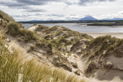 Scenic view of beach against sky