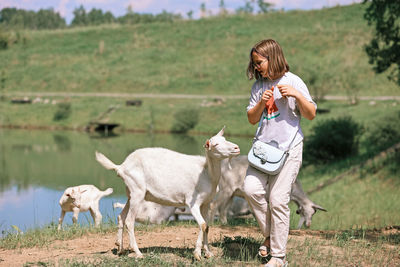 Girl feeds and plays with goats on a farm