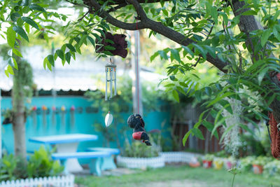 Bird perching on a tree