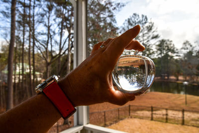 Cropped hand holding crystal ball