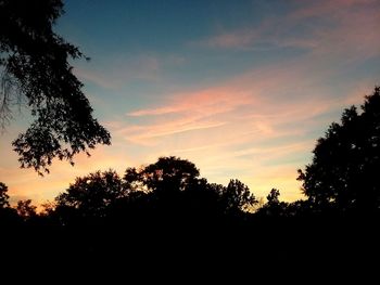 Low angle view of silhouette trees against sky during sunset