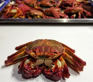 Close-up of seafood in plate