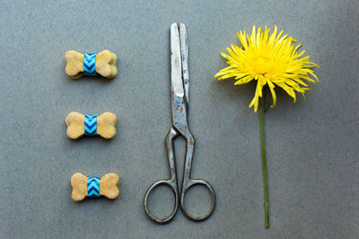 Directly above shot of cookies with scissor and yellow flower on gray background