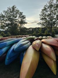 Colorful kayaks