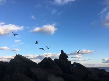 Low angle view of birds flying over rocks against sky