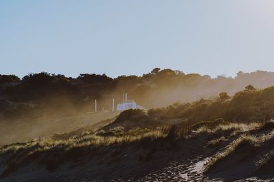 Sea mist against sans dunes at the beach