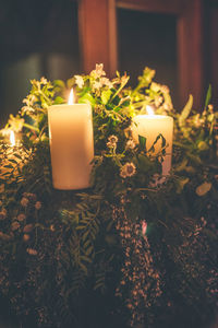 Close-up of illuminated candles on plant