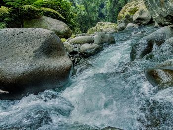 Stream flowing through rocks in forest