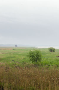 Scenic view of grassy field against sky