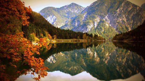 Reflection of trees in lake during autumn