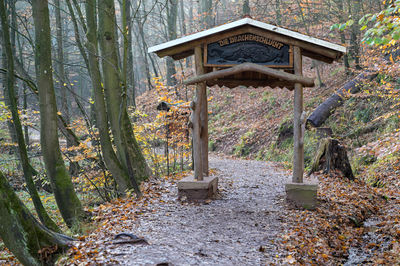 Gazebo in forest