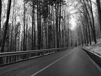 Road amidst bare trees in forest