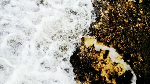 Reflection of people in water