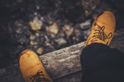 Low section of man standing on wood