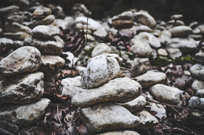 Close-up of stones on rocks