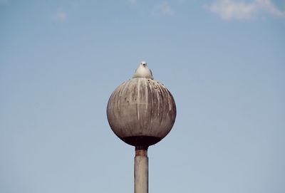 Low angle view of seagull on street light against sky on sunny day