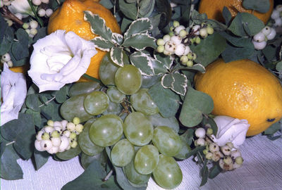 High angle view of vegetables on plant